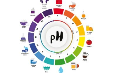 L’équilibre acide-base, facteur d’une santé optimale